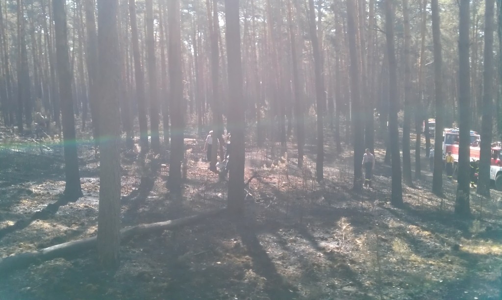 imag0955