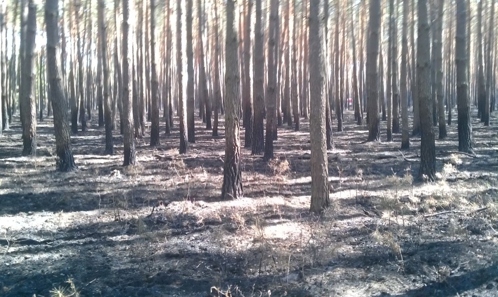 imag0956