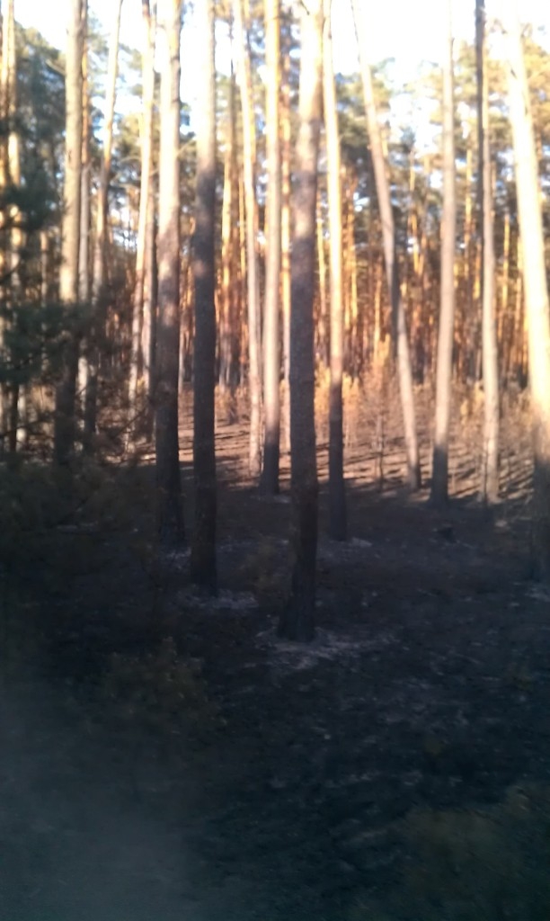 imag0968